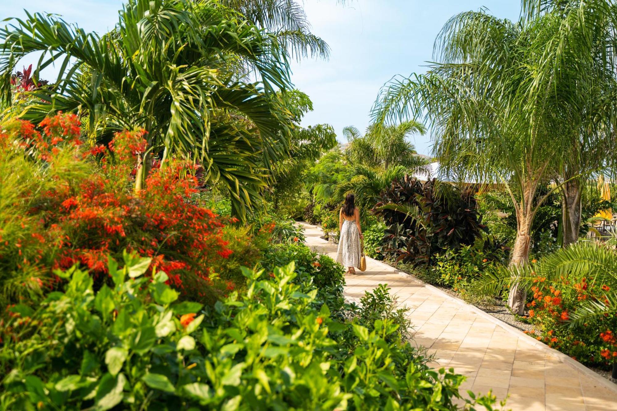 Golden Rock Dive And Nature Resort Oranjestad  Exterior foto